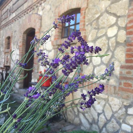 Levendula Porta Es Pajtaszinhaz Hotel Orfű Exterior foto