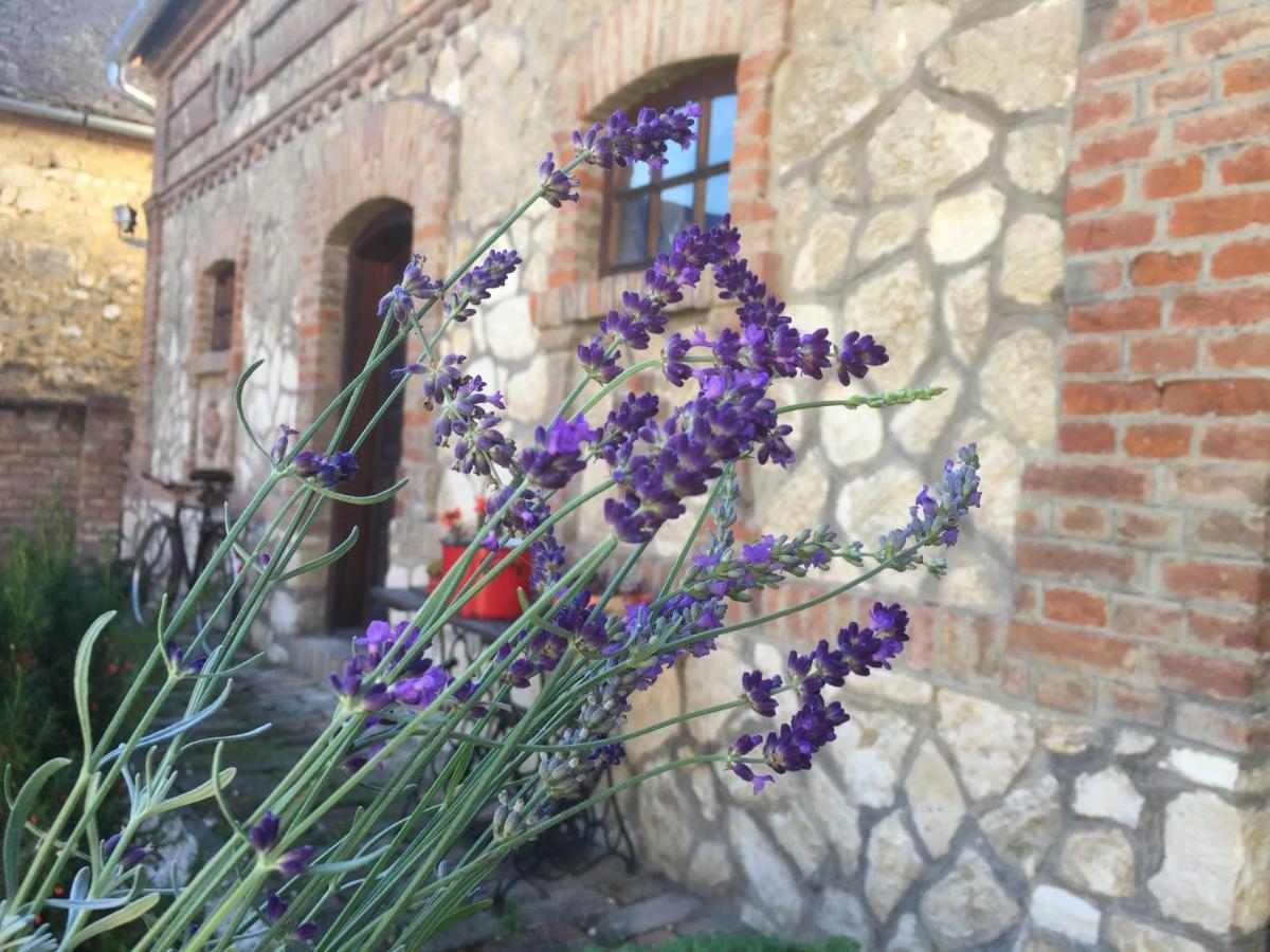 Levendula Porta Es Pajtaszinhaz Hotel Orfű Exterior foto